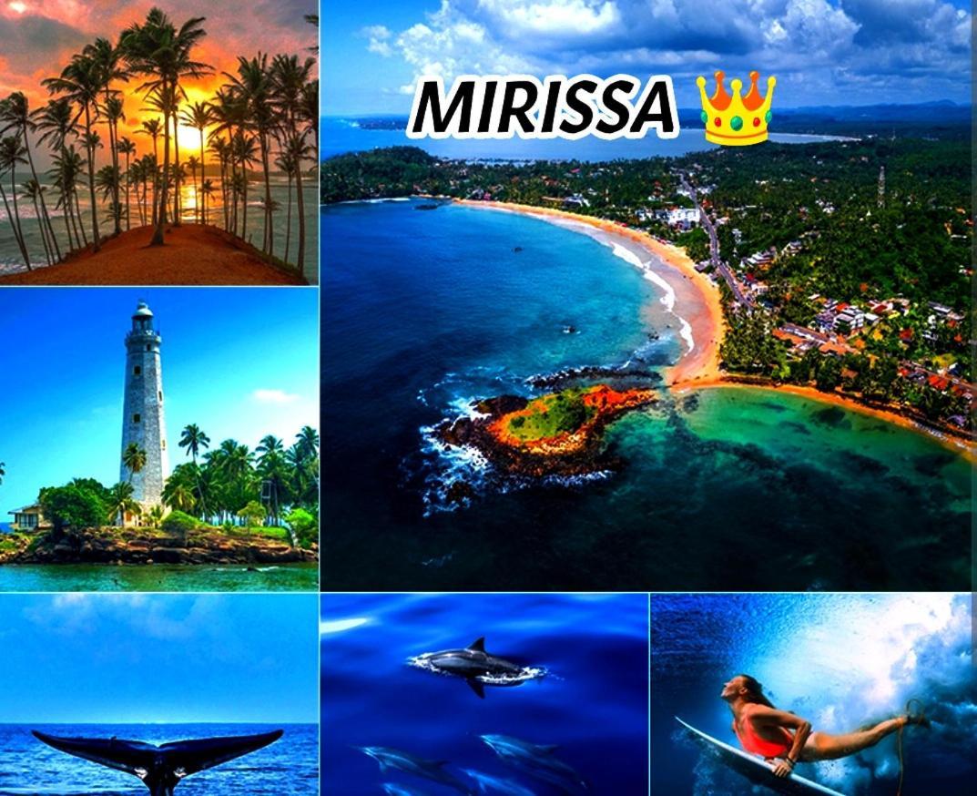 Mirissa Villa Green Pepper Eksteriør bilde